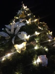 Dr.Zoe Nicolaou christmas tree illumination 